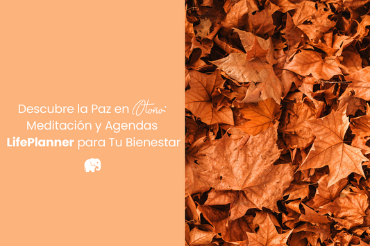 Descubre la Paz en Otoño: Meditación y Agendas LifePlanner para Tu Bienestar