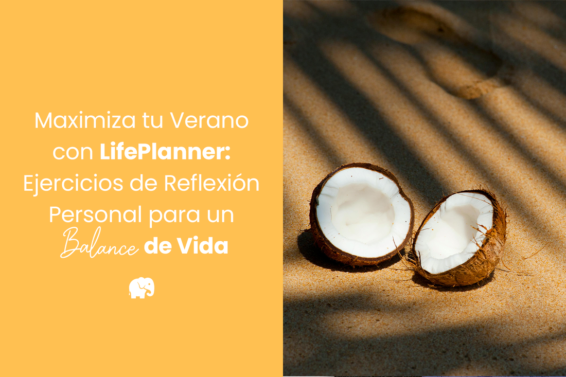 Maximiza tu Verano con LifePlanner: Ejercicios de Reflexión Personal para un Balance de Vida