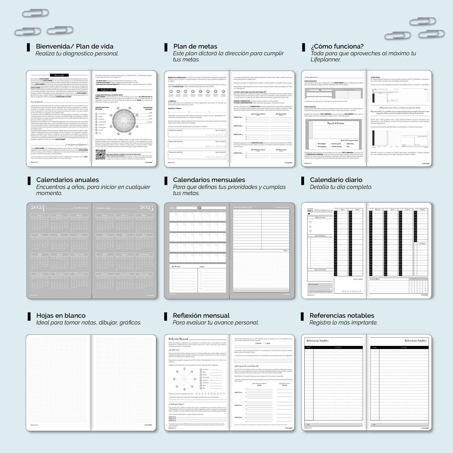 PERPETUA NIEBLA 2026 NUEVOS DISEÑOS