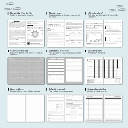 PERPETUA NIEBLA 2026 NUEVOS DISEÑOS