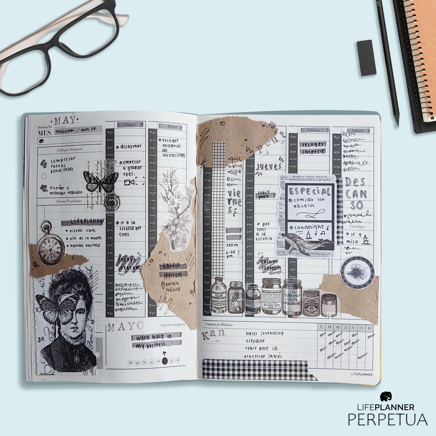 PERPETUA NIEBLA 2026 NUEVOS DISEÑOS