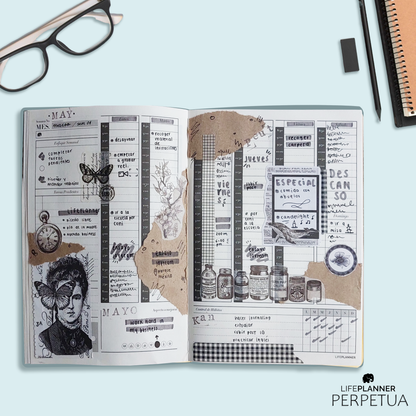 PERPETUA NIEBLA 2026 NUEVOS DISEÑOS