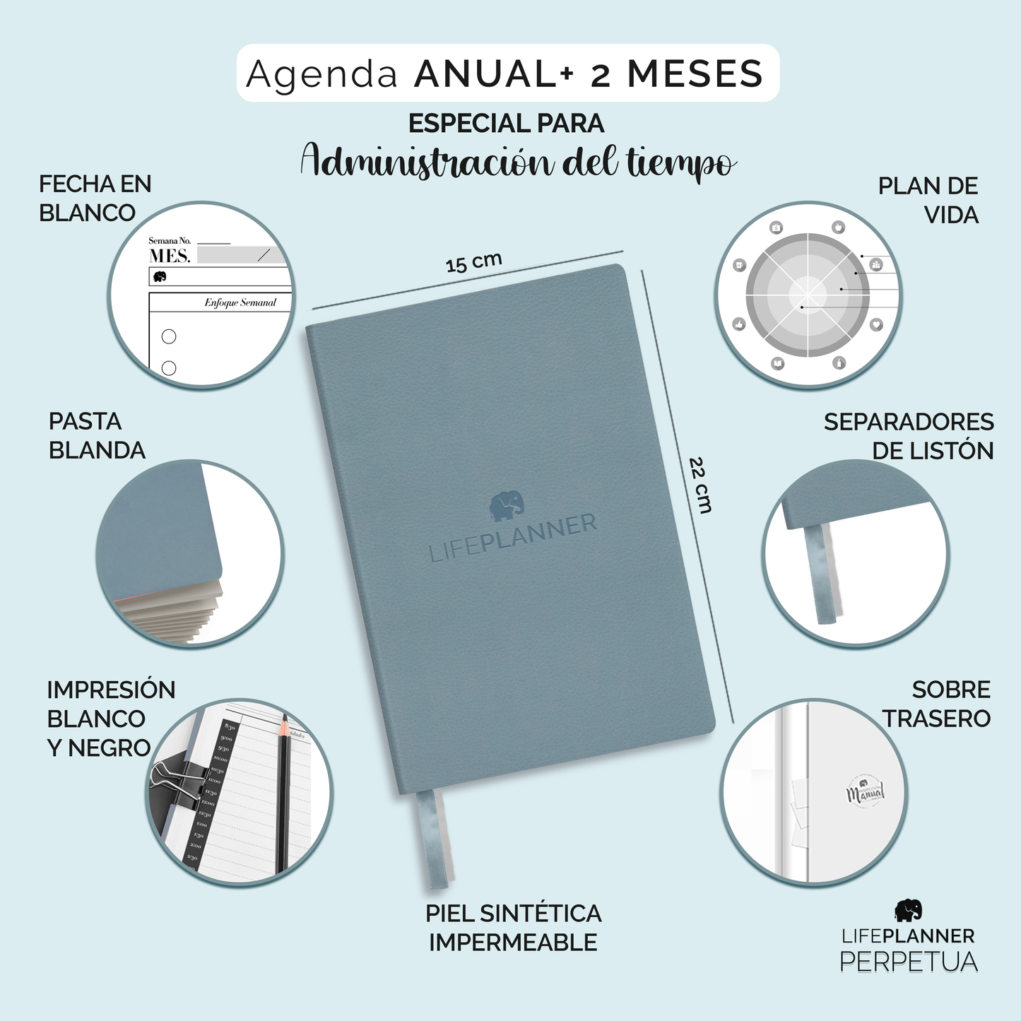PERPETUA NIEBLA 2026 NUEVOS DISEÑOS