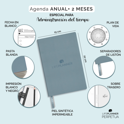 PERPETUA NIEBLA 2026 NUEVOS DISEÑOS