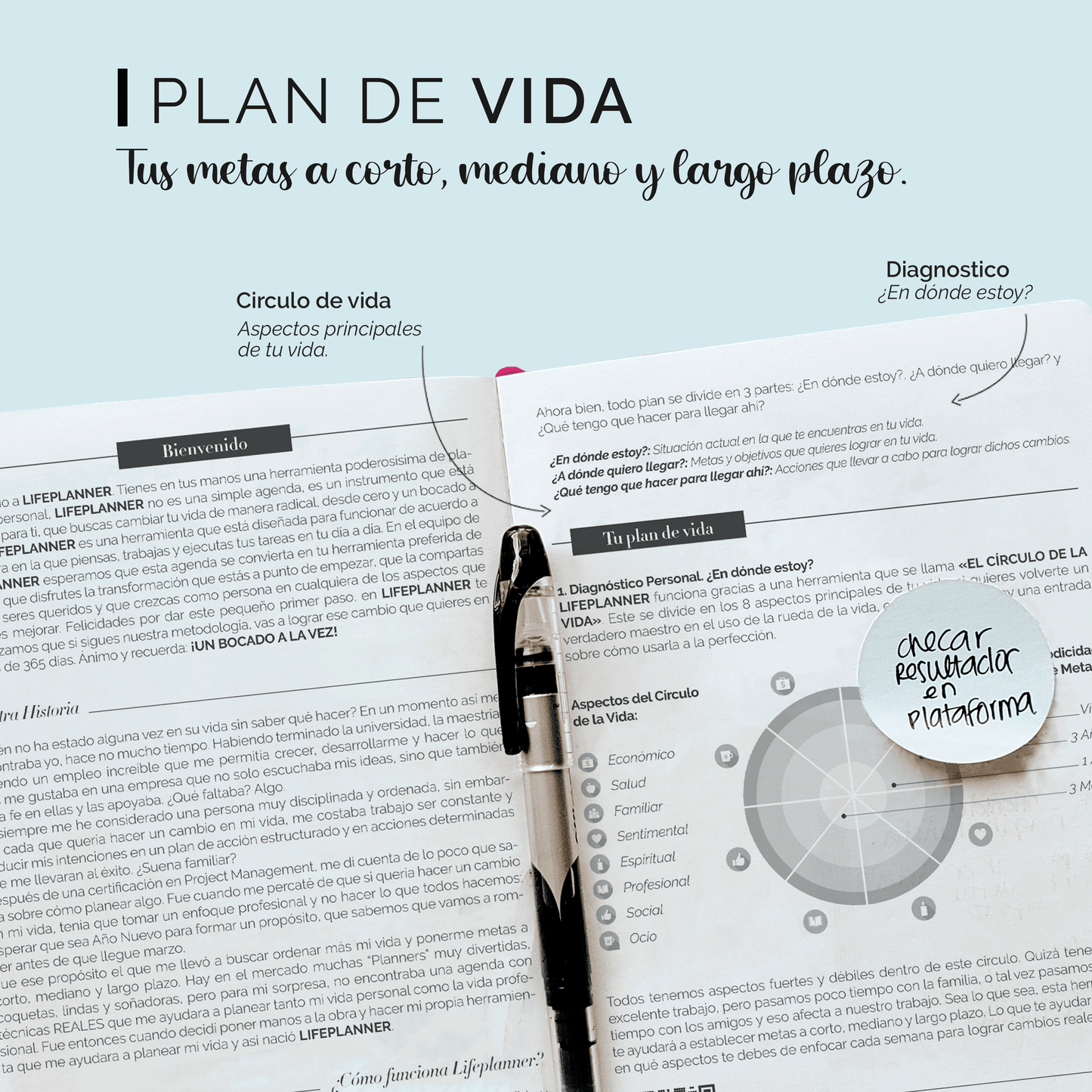 PERPETUA NIEBLA 2026 NUEVOS DISEÑOS