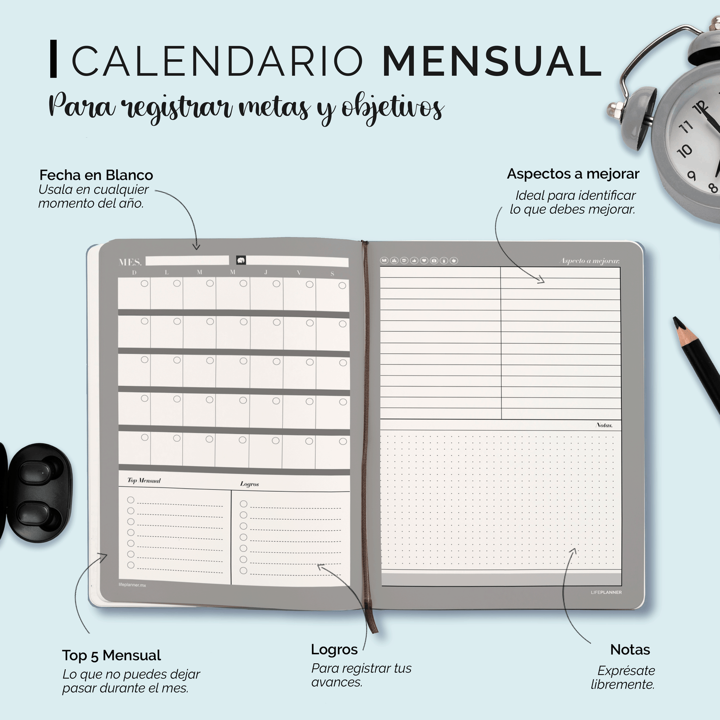 PERPETUA NIEBLA 2026 NUEVOS DISEÑOS