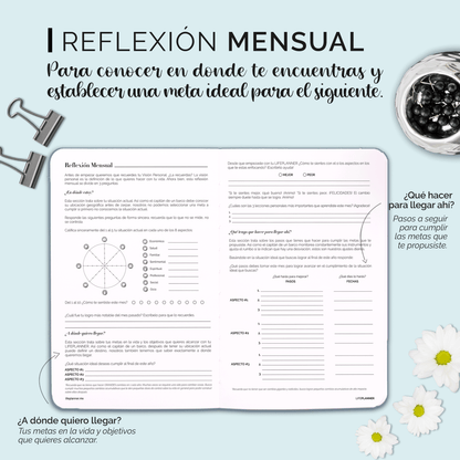 PERPETUA NIEBLA 2026 NUEVOS DISEÑOS