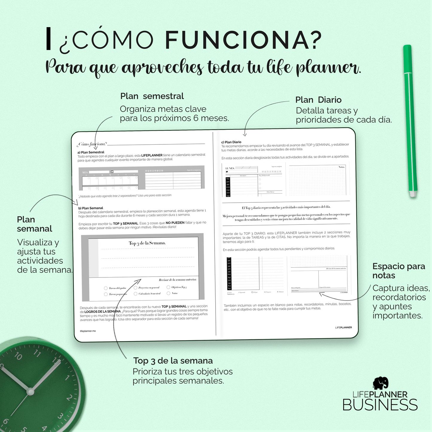 BUSINESS 2025: FOREST *ENTREGAS A PARTIR DEL 2 DE DICIEMBRE*