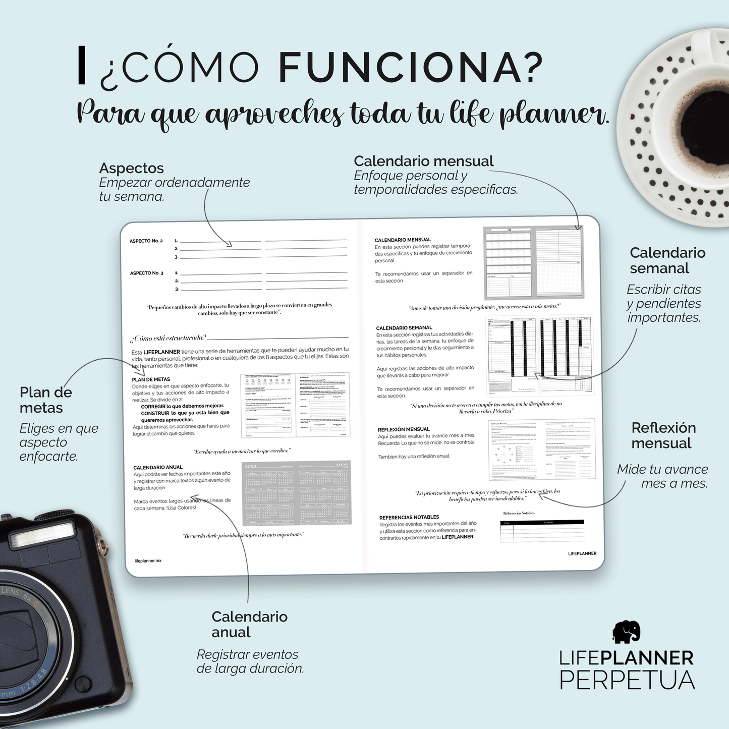 PERPETUA NIEBLA 2026 NUEVOS DISEÑOS