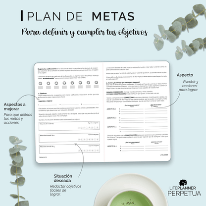 PERPETUA NIEBLA 2026 NUEVOS DISEÑOS