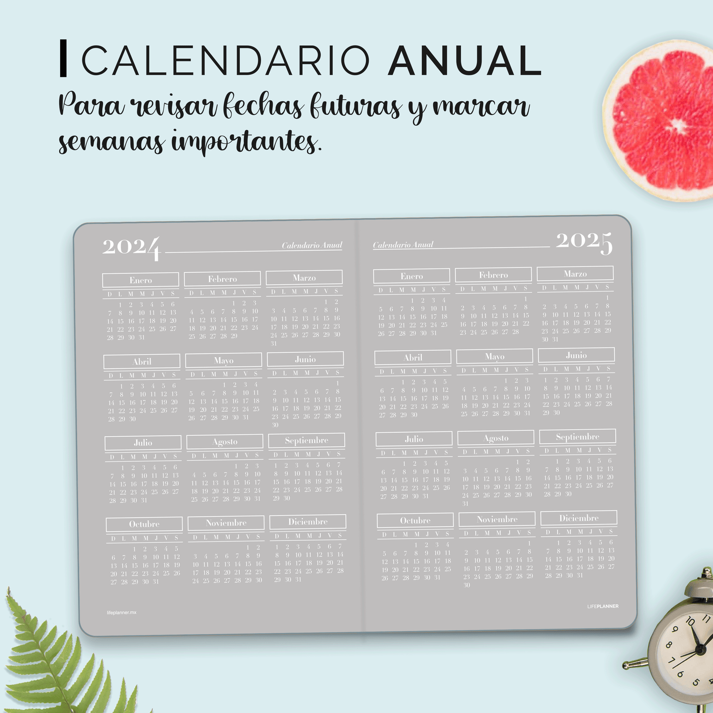 PERPETUA NIEBLA 2026 NUEVOS DISEÑOS