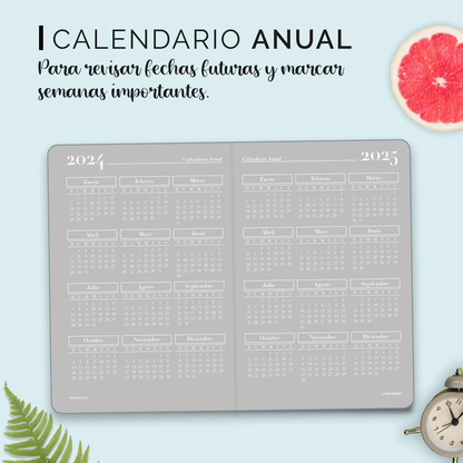 PERPETUA NIEBLA 2026 NUEVOS DISEÑOS