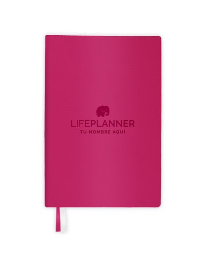 BUSINESS FRAMBUESA 2026 NUEVOS DISEÑOS