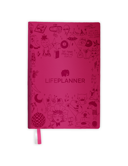 BUSINESS FRAMBUESA 2026 NUEVOS DISEÑOS