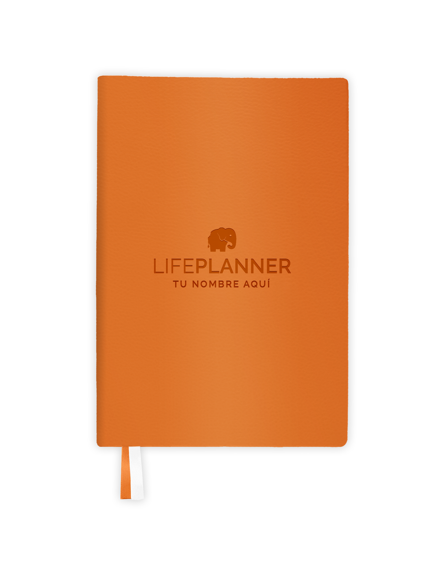 PERPETUA PUMPKIN 2026