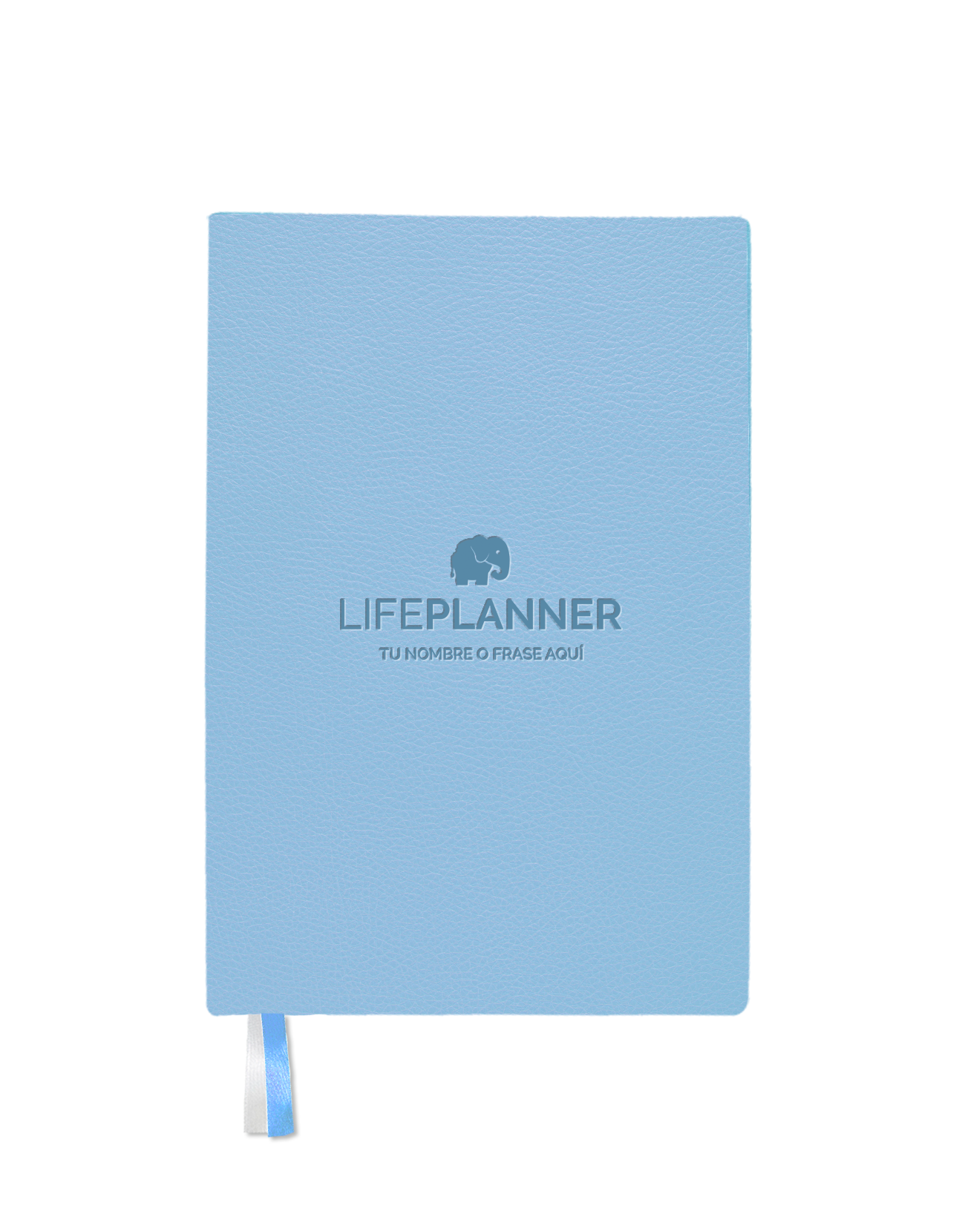 BUSINESS CERÚLEO 2026 NUEVOS DISEÑOS