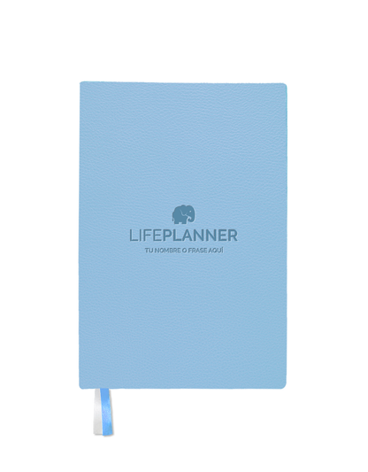 BUSINESS CERÚLEO 2026 NUEVOS DISEÑOS