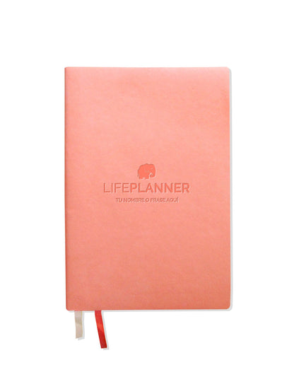 NOTES MELOCOTÓN: NUEVOS DISEÑOS